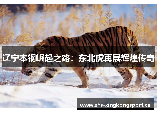 辽宁本钢崛起之路：东北虎再展辉煌传奇